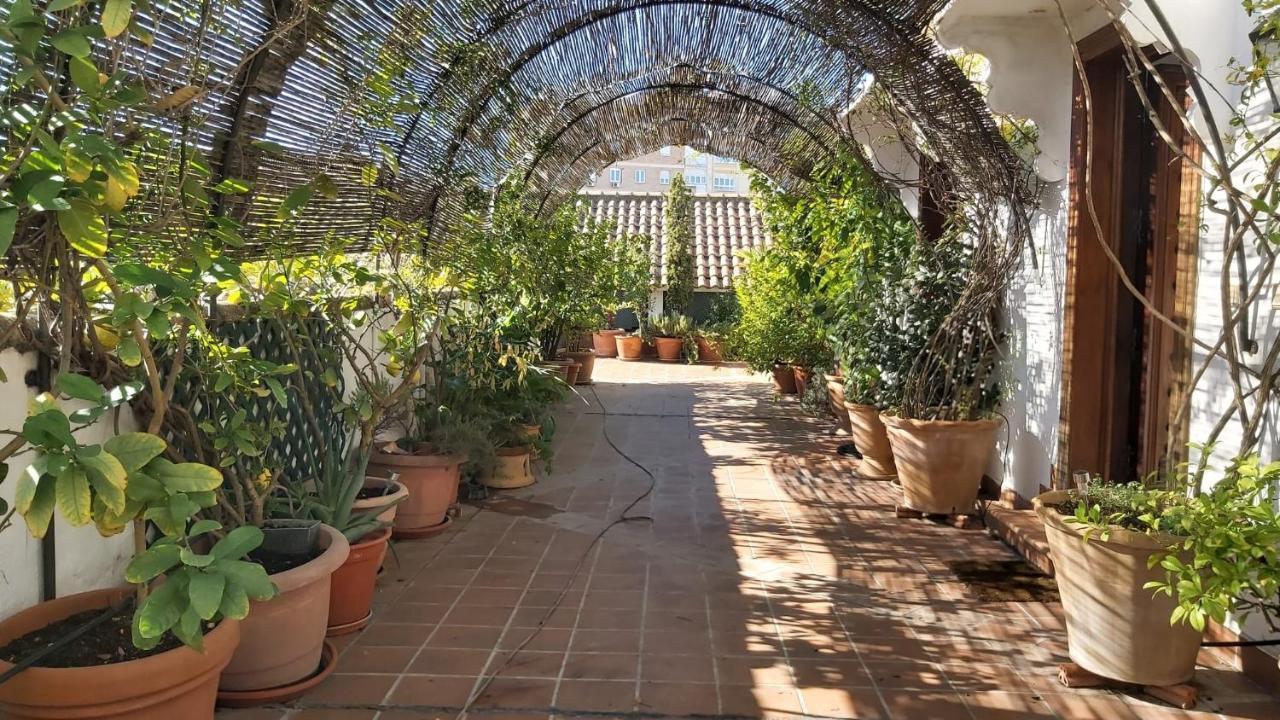 El Jardin De Wallada Córdoba Exterior foto